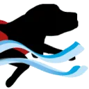 Logo HydroDogs