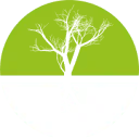 Logo Pitteloo Capital