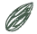 Logo Maejor Nuts