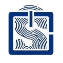 Logo FoonStore.com