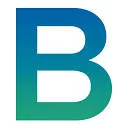 Logo BituNed bv