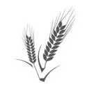 Logo Foodactief