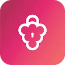 Logo Cyberry Security B.V.
