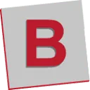 Logo Bruins
