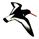 Logo van OOLDER ADVIES