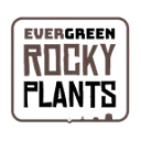 Logo Evergreen Rocky Plants B.V.