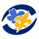 Logo Scouting Graaf Otto Groep Lochem