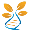 Logo Datura Environmental Solutions