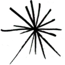 Logo FlowerDutchess.com
