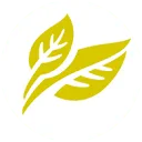Logo Innovatiefonds Hagelunie