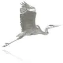 Logo Ardea-engineering