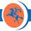 Logo Repro- van de Kamp
