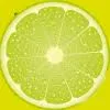 Logo Limeking