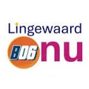 Logo Den Eijgen Zwaonstééj