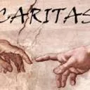 Logo van Caritasgroep