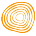 Logo Arntz Advies AND Coaching