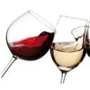 Logo VinoVersa