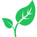 Logo Mama Botanica