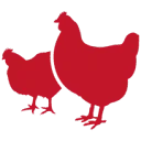 Logo Ven Poultry B.V.