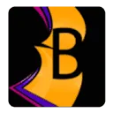 Logo Bontje boekbinderij en albumafwerking bv