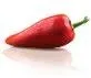 Logo Piri Piri Marketing AND Communicatie
