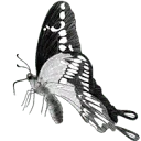 Logo van Dagjeindenatuur