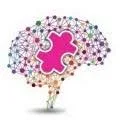 Logo Hersenletsel-Uitleg AND Brain Injury Explanation