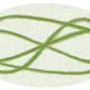 Logo Acupunctuur Praktijk