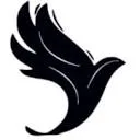 Logo DroneQ Robotics