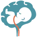 Logo Kennispoort Verloskunde