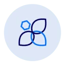 Logo Bloosem