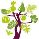 Logo Start Voedselbos