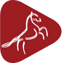 Logo FeestvoorPaarden.nl