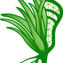 Logo Grassroots lacrosse