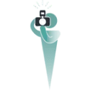 Logo van Flitzer!
