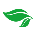 Logo Natural Spices