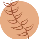 Logo E-volv Organisatieadvies