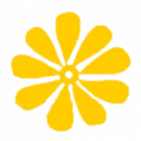 Logo MindingWork