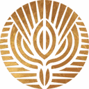 Logo School of Life; Opleidingsinstituut voor Levenstherapie