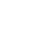 Logo pragmatist