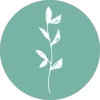 Logo Eva Nijman ◦ Writative