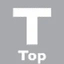 Logo Top TeleService