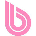 Logo BWT Nederland B.V.