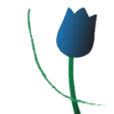 Logo Association Français des Pays-Bas