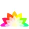Logo Van der Wilt Gerbera's