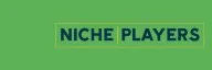 Logo van Nicheplayers