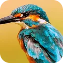 Logo van Azure Kingfisher - A Sharp Eye on Sustainable Finance