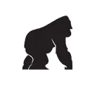 Logo KING KONG HOSTEL