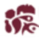 Logo Stichting BRIQS
