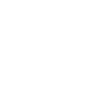 Logo Cruise Control Studios